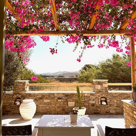Aegeo Inn Antiparos Town エクステリア 写真